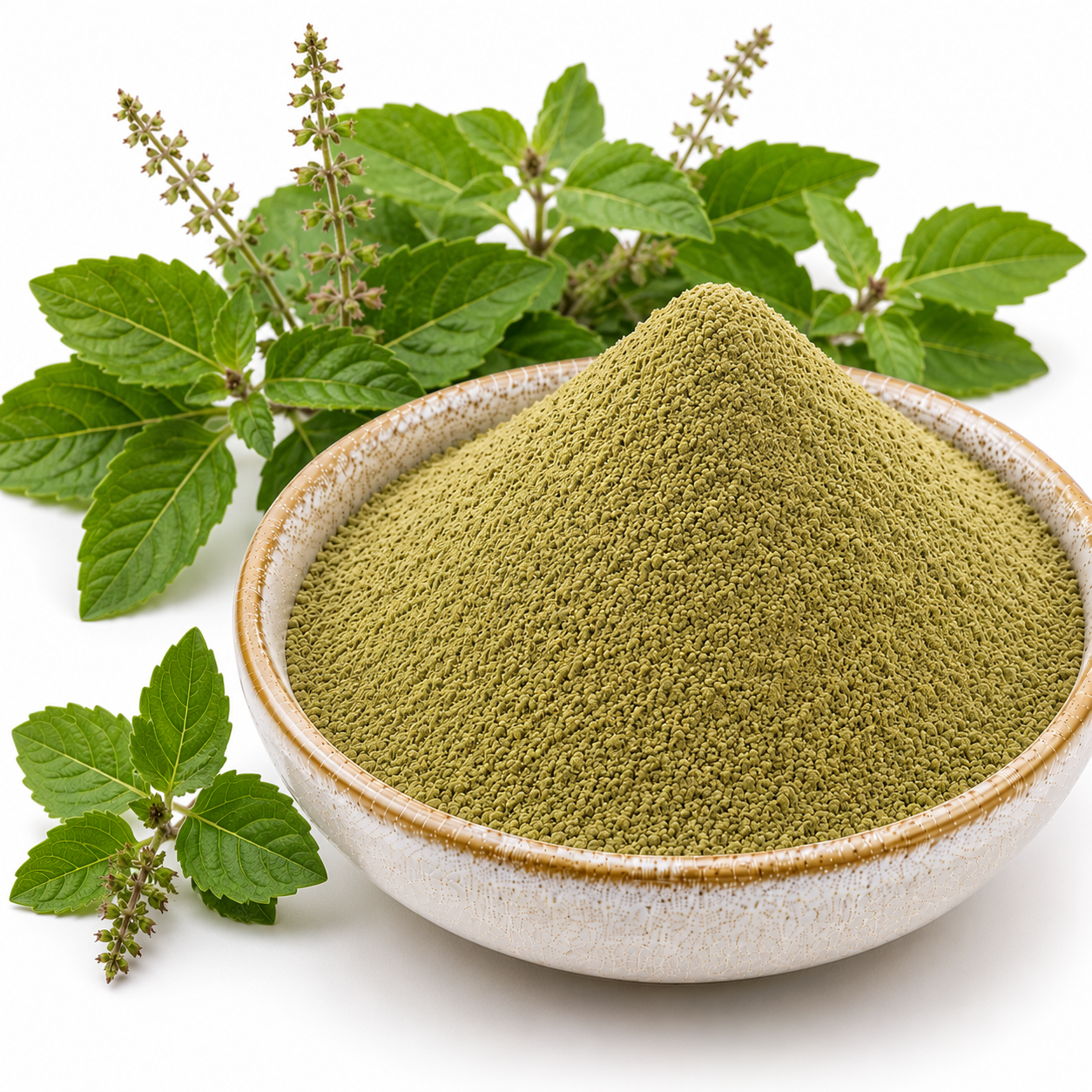 Tulsi Powder