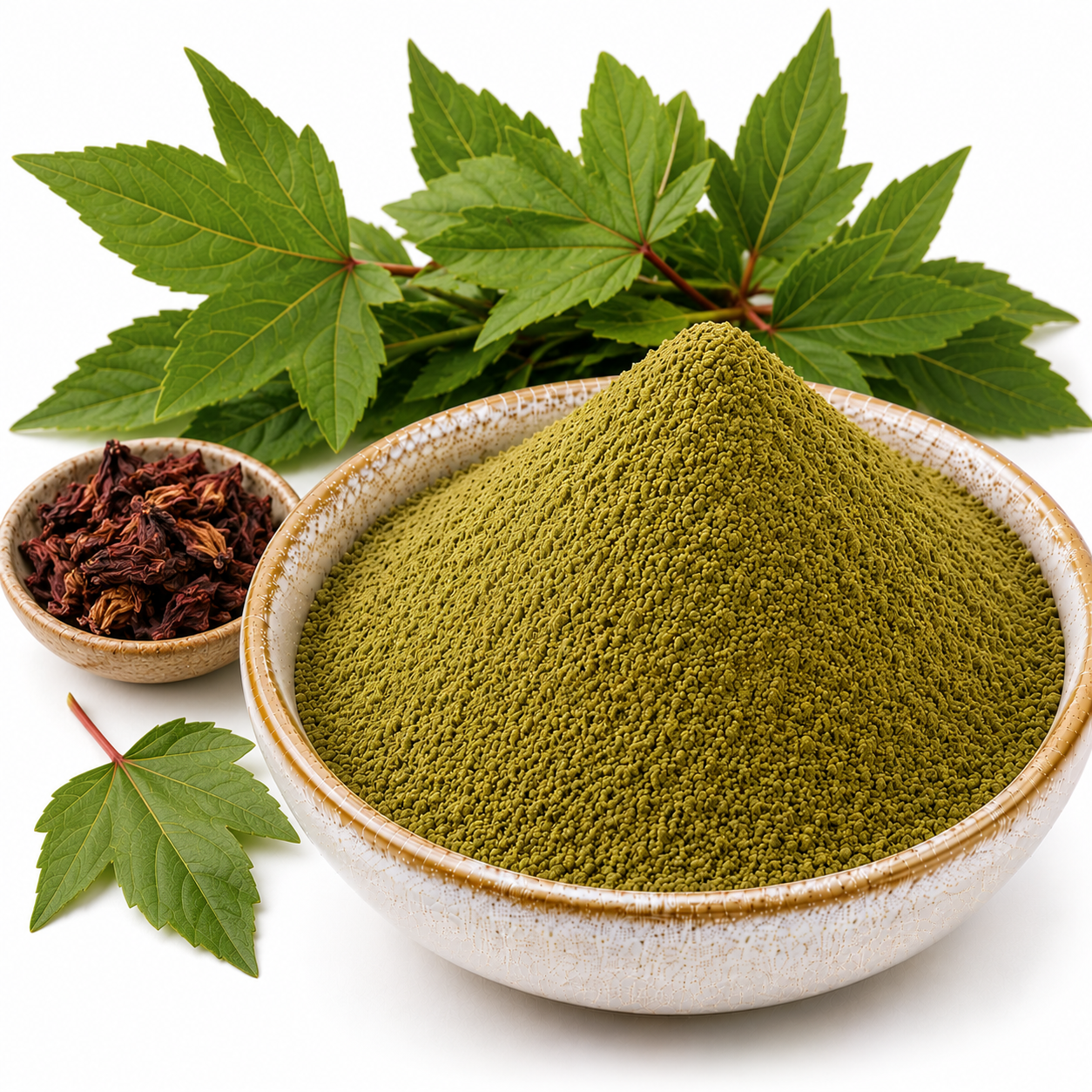 Gongura Powder